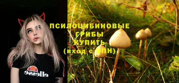 ALPHA PVP Белокуриха