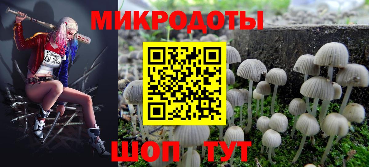 Галлюциногенные грибы Cubensis Пыть-Ях